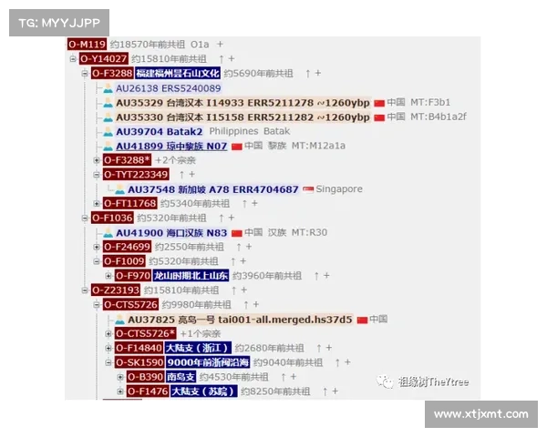 法甲21冠神奇归属揭密背后非巴黎统治的独特历史与动因深层脉络